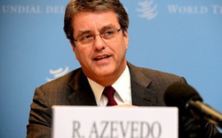 Tổng Giám đốc WTO chính thức tuyên bố từ chức