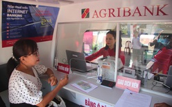 Agribank Phú Yên: Khai trương điểm giao dịch lưu động thứ hai bằng ô tô chuyên dùng