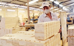 Thành lập đoàn kiểm tra áp dụng mã HS đối với nhóm các mặt hàng gỗ cao su xuất khẩu