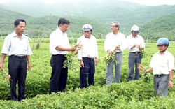 Nhà nông đất võ nắm rõ và tuân thủ pháp luật