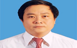 Quảng Ngãi: Giám đốc BQL DA tỉnh được điều động làm Bí thư huyện Tư Nghĩa
