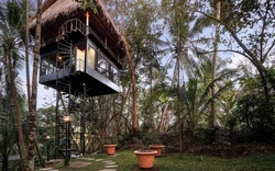 Khách sạn cây nằm giữa rừng Bali