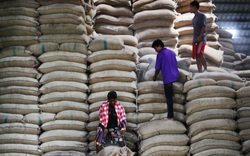 Thái Lan có nguy cơ rớt xuống vị trí thứ 5 về xuất khẩu gạo thế giới