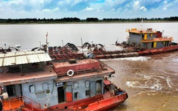 Sông Đà Hà Nội khai thác cát tàn phá biển tại Nam Định (Bài 3)
