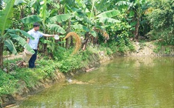 Bí thư đoàn kiêm chủ trang trại