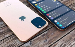 iPhone 12 chưa ra mắt, iPhone 13 đã rò rỉ những thông tin bất ngờ