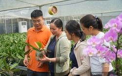 Hà Nội: Hơn 96% số dân Thanh Oai hài lòng với xây dựng nông thôn mới