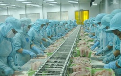 Thủy sản Việt Nam được xuất khẩu trở lại vào thị trường Ả-rập Xê-út