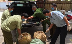 Bắt giữ hàng chục nghìn con gia cầm giống nhập lậu từ Trung Quốc, Bộ NNPTNT đề nghị khẩn cấp ngăn chặn