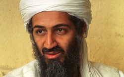 Bí mật sốc bên trong ổ cứng của Osama bin Laden: Tràn ngập phim khiêu dâm và... phim hoạt hình