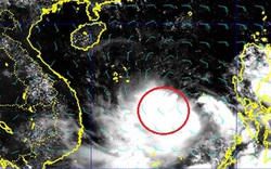 Bão số 5 tăng cường độ và tốc độ, có thể vào đất liền sớm hơn