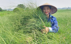 Video: Tạo ra dòng sữa sạch, nữ nông dân Hà Nam thu tiền tỷ mỗi năm