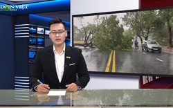 Bản tin Thời sự Dân Việt ngày 18/9: Hàng nghìn ngôi nhà bị tốc mái, hư hỏng nặng vì cơn bão số 5