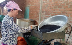 Bình Định: Trồng loài cây ra hạt bé tí đen sì, 2 tháng trước lo ngay ngáy, nay dân thở phào nhẹ nhõm