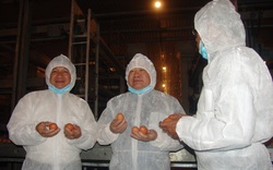 Có gì đặc biệt ở trại nuôi gà công nghệ cao lấy trứng "vàng" khiến Chủ tịch Hội Nông dân Việt Nam khen tấm tắc?