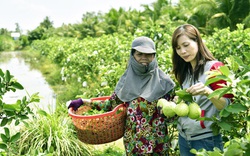 Kiên Giang: Nhiều nông dân trồng cây, nuôi con "độc, lạ" cho thu nhập khủng