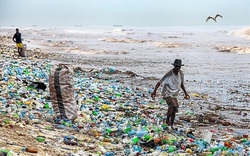 Kinh hoàng cảnh rác thải nhựa tràn ngập bãi biển xinh đẹp