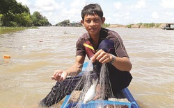 An Giang: "Thợ săn" cá đồng thỏa thú tiêu dao mùa nước lũ từ thượng nguồn nhuốm đỏ cả sông