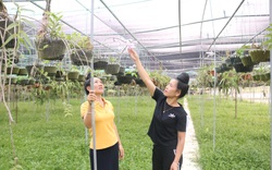 Vườn lan "khủng" trên 6.000 giò của cô gái Thái ở Sơn La, ai nhìn cũng choáng