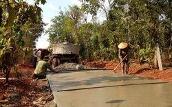 Đắk Lắk: Chiến thắng dịch bệnh Covid-19, chung sức xây dựng nông thôn mới