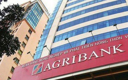 Khẩn trương tăng vốn cho Agribank, BIDV, Vietcombank, VietinBank