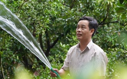 Dám thay đổi tư duy nông nghiệp cũ kỹ, một nông dân Bắc Giang thu tiền tỷ từ vườn cây nhà mình