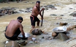 Mất việc do dịch bệnh, dân Indonesia đổ xô đi đào vàng