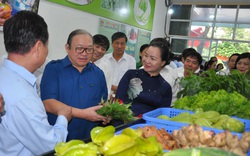 CLIP: Chủ tịch Hội Nông dân Việt Nam ấn tượng với đặc sản tại cửa hàng nông sản an toàn đầu tiên ở Hòa Bình