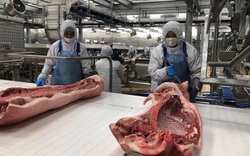 Bên trong nhà máy lạnh 4 độ C chế biến thịt mát, vốn đầu tư 1.800 tỷ sắp khánh thành