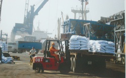 Bà Rịa - Vũng Tàu dành 20.000 tỷ đồng kết nối giao thông cảng biển