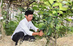 Hà Tĩnh: Bình Yên - khu dân cư giáo toàn tòng đầu tiên đạt chuẩn nông thôn mới kiểu mẫu