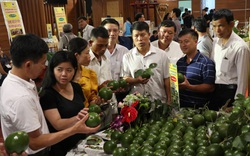 Nông dân háo hức chờ được đối thoại với Thủ tướng  giữa thủ phủ Tây Nguyên
