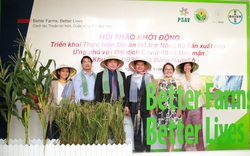 Bayer hỗ trợ 80.000 nông hộ "vượt bão" Covid-19 và hạn mặn