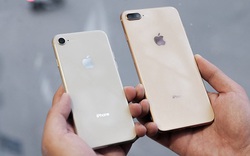 iPhone 8 plus đẹp và chất, giá hiện tại bao nhiêu?