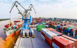 Kim ngạch xuất khẩu 9 tháng khu vực kinh tế trong nước  tăng cao 20,2%