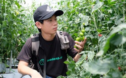 Startup đầu tiên bán nông sản trên kênh trực tuyến- FoodMap được rót 500.000 USD