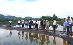 Kiểm tra các dự án khuyến nông T.Ư tại Quảng Ninh: Nuôi tôm thâm canh lãi 1,2 tỷ đồng/ha