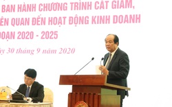 Cắt giảm ít nhất 20% số quy định liên quan đến hoạt động kinh doanh giai đoạn 2020-2025