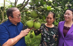 Chủ tịch Hội Nông dân Việt Nam thăm trang trại nuôi con đặc sản, trồng cây đặc sản của nông dân xuất sắc