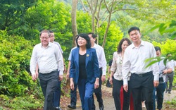 Phó Chủ tịch nước Đặng Thị Ngọc Thịnh thăm vườn na mẫu ở Lạng Sơn