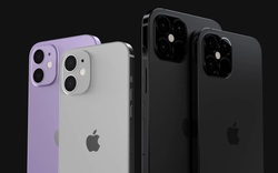 iPhone 12 có thể bị lùi lịch ra mắt xuống tháng 10/2020