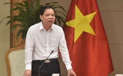 Chủ tịch tỉnh đi họp chống IUU, vì sao được Bộ trưởng Nguyễn Xuân Cường khen ngợi?