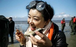 Đan Mạch mời du khách Trung Quốc sang ăn hàu để "giải cứu bờ biển"