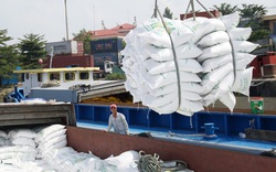 Vì sao gạo 'ngon nhất thế giới' của Việt Nam xuất khẩu vào EU chưa được hưởng thuế 0%?
