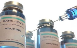 Mỹ khó có vaccine Covid-19 trước Ngày Bầu cử như Trump kỳ vọng