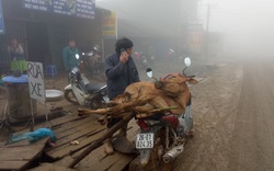 Sơn La: Lạnh băng giá, ông Cu khóc 2 tiếng đồng hồ bên xác con trâu chết rét, thật xót xa