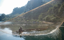 Điện Biên: Mưu sinh bằng nghề săn "thủy quái" trên sông Đà, từng bắt được 1 con 50kg sau 3 tiếng "vật lộn"