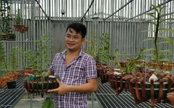 Bỏ chuỗi cửa hàng Viettel lương tháng 50 triệu, 8X tỉnh Lâm Đồng về trồng giàn phong lan đột biến trị giá 30 tỷ đồng