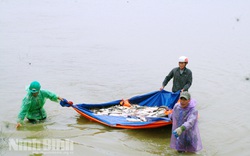 Ninh Bình: Nuôi cá ruộng, bắt hàng tấn toàn cá ngon trong rét mướt, bán giá rẻ sao nông dân vẫn phấn khởi?