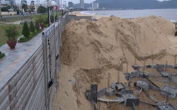 Clip: Ngang nhiên đào bới, thi công công trình không phép trên bãi biển Quy Nhơn